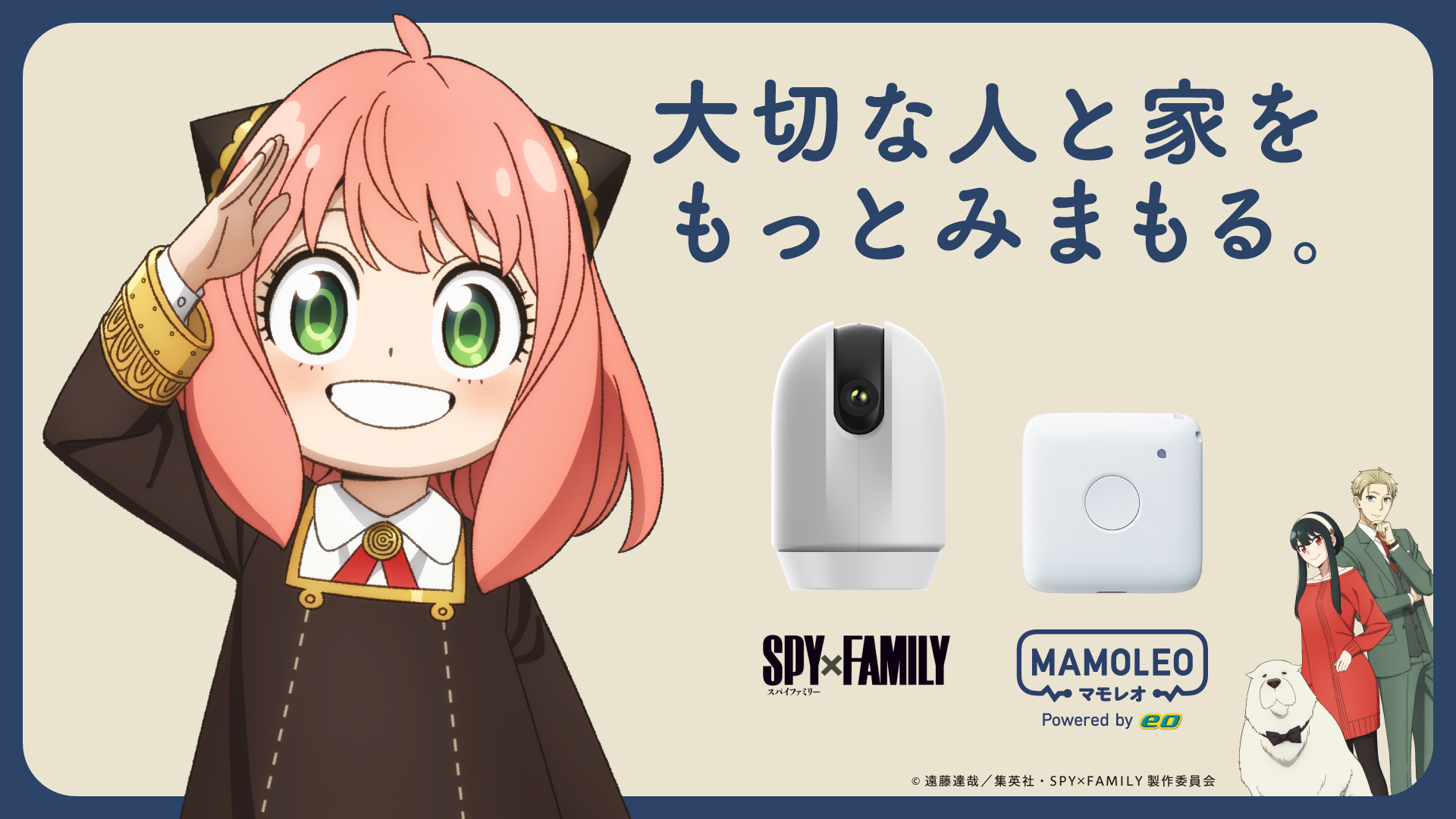 大切な人と家をもっとみまもる。SPY×FAMILY MAMOLEO